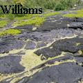JRWilliams